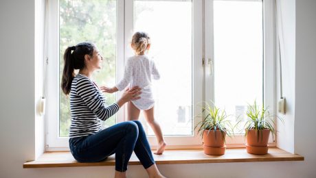 affordable window tint